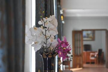 Апартаменты с 1 спальней в Отеле Medeu